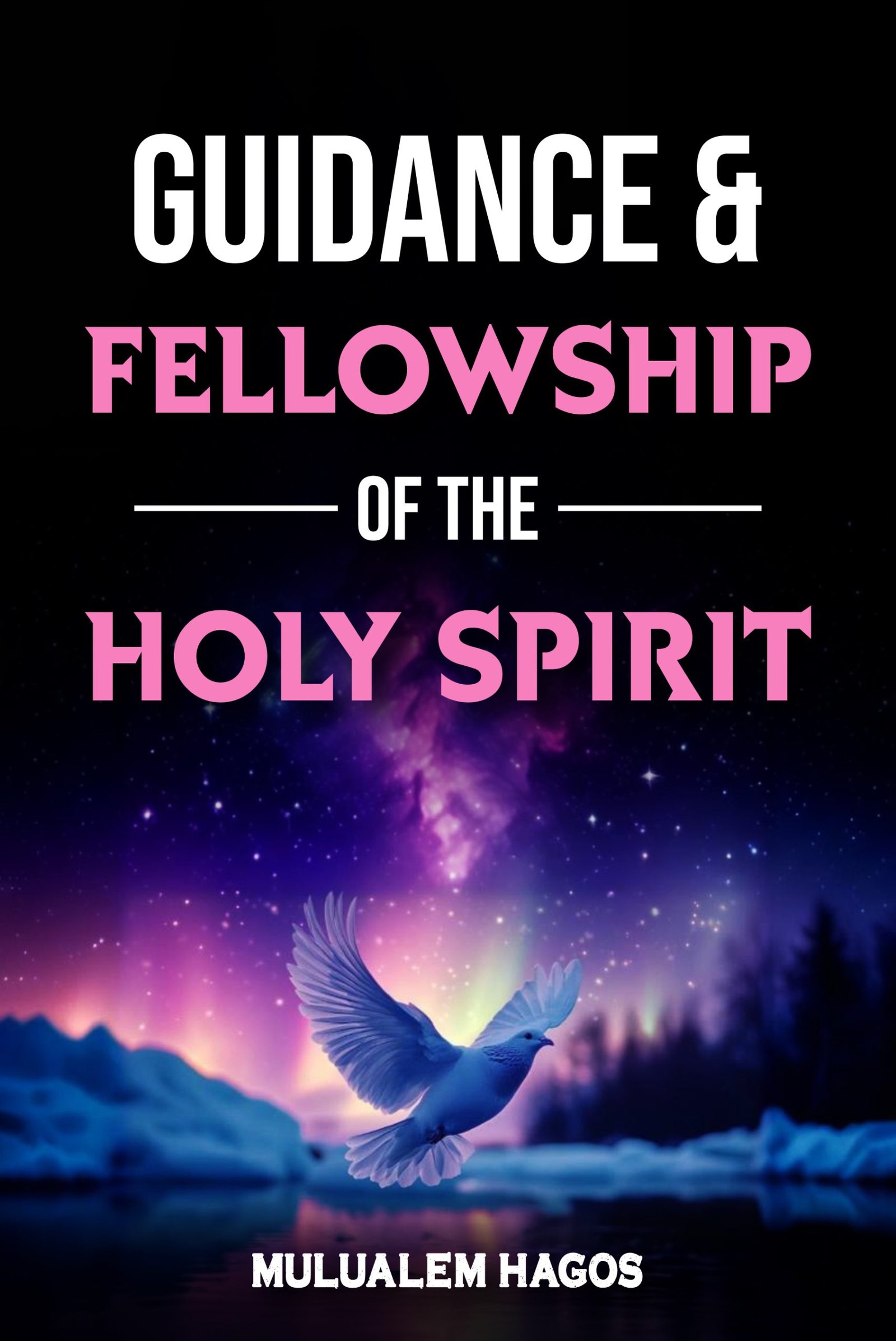 Guidance and Fellowship of the Holy Spirit book cover