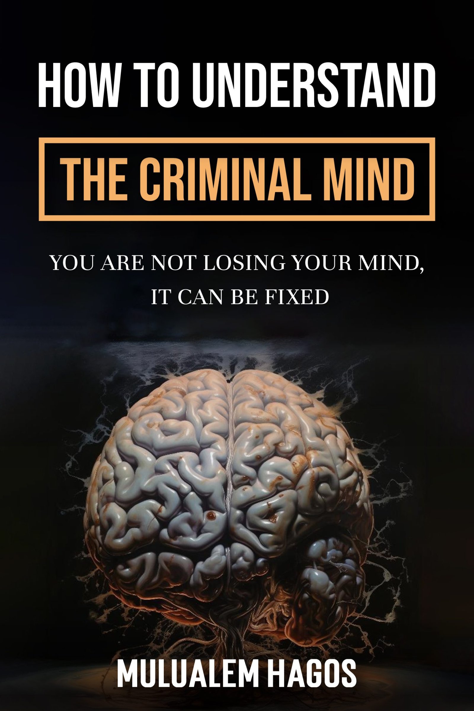 How to Understand the Criminal Mind book cover