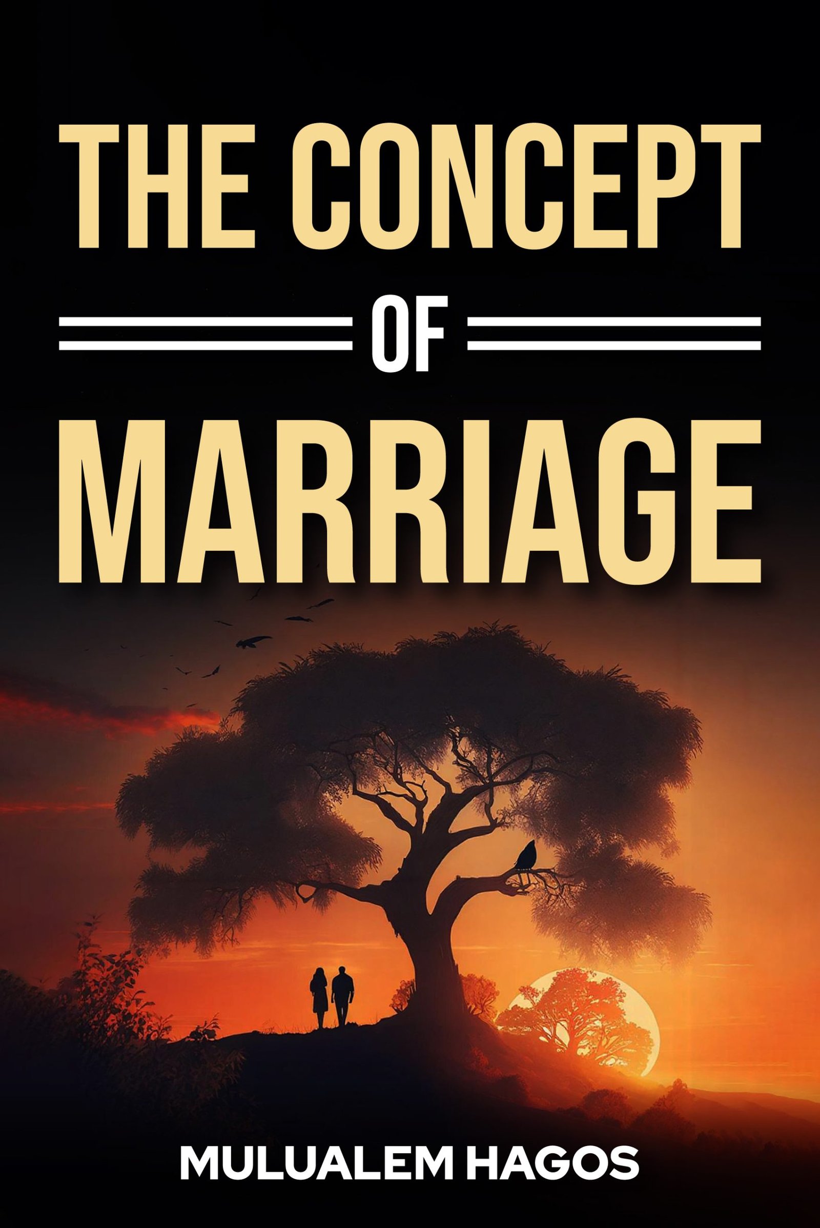 The Concept of Marriage book cover