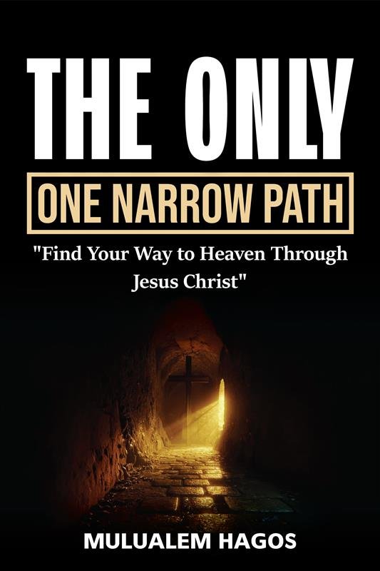 The Only One Narrow Path book cover